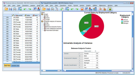 IBM_SPSS.png  